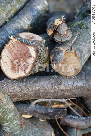 A pile of firewood from fruit trees, firewood for barbecue, close-up 140848705