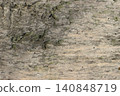 Wooden board with visible traces of insects that infested the wood, close-up 140848719