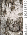 Trunk of a white birch with old traces of birch sap harvesting, a healed hole is visible, close-up 140848720