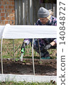 Watering a vegetable garden on a raised bed, water flowing from a hose in a woman's hand, arches and spunbond over the bed 140848727