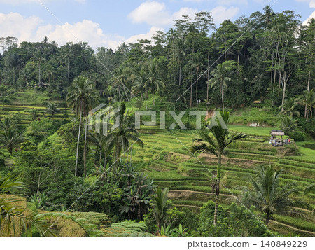 Tegalalang Rice Terraces, Ubud, Bali, Indonesia Tegalalang Rice Terraces, Ubud, Bali, Indonesia 140849229