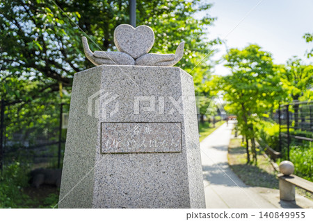森林步道 森林步道 140849955