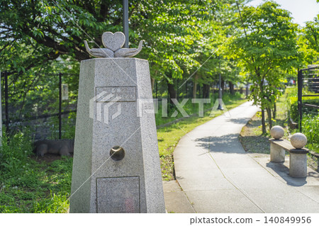 森林步道 140849956