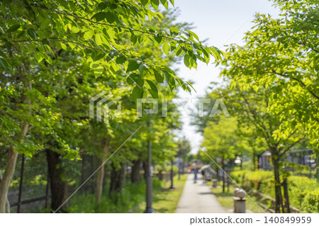 森林步道 140849959