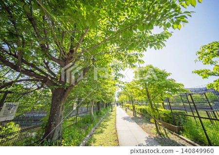 森林步道 140849960