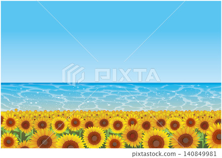 Summer sunflower field landscape Summer sunflower field landscape 140849981
