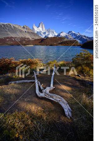 Patagonia mountain lake, snowy peak, blue sky, driftwood scene Patagonia mountain lake, snowy peak, blue sky, driftwood scene 140850205