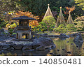 六義園的秋葉：白雪皚皚的樹木和賞雪燈籠 140850481