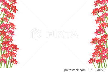 Transparent frame of red spider lilies 3_ Transparent frame of red spider lilies 3_ 140850729
