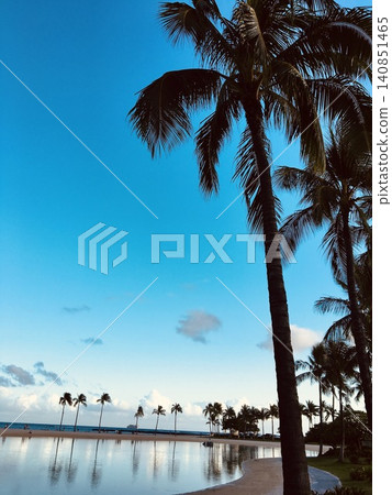 Palm trees and blue sea 140851465