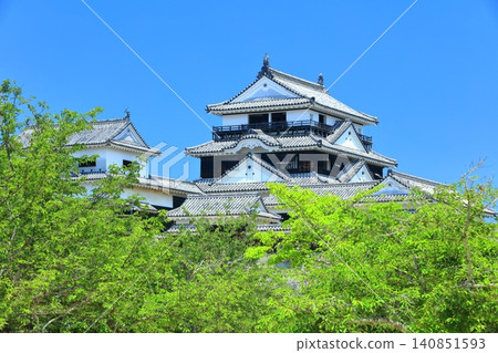 [Ehime Prefecture] Matsuyama Castle tower on a clear day 140851593