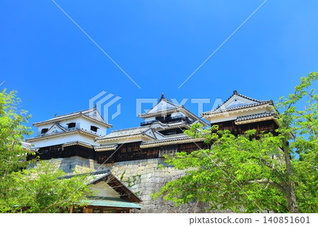[Ehime Prefecture] Matsuyama Castle in sunny weather (main stage) 140851601