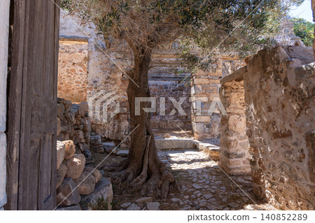 Olive tree growing inside abandoned stone ruins on Spinalonga island Crete Greece Olive tree growing inside abandoned stone ruins on Spinalonga island Crete Greece 140852289