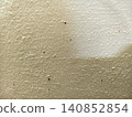 Smooth Plaster Surface and Minimal Pattern 140852854