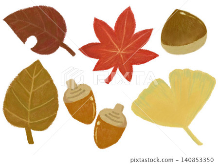 Autumn illustration set Autumn illustration set 140853350