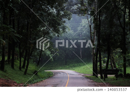 Winding mountain road passes through lush tropical rainforest on a rainy day in Thailand Winding mountain road passes through lush tropical rainforest on a rainy day in Thailand 140853537
