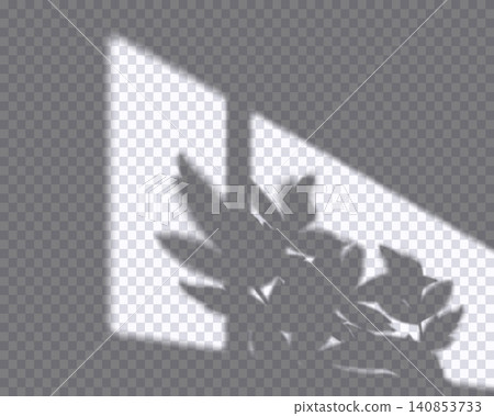 Realistic long shadow overlay effect of window frame isolated on transparent background. Abstract silhouette soft blurry shadow leaves tree branch on wall. Sun light shade. Vector scene mockup Realistic long shadow overlay effect of window frame isolated on transparent background. Abstract silhouette soft blurry shadow leaves tree branch on wall. Sun light shade. Vector scene mockup 140853733