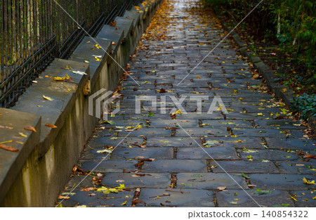 Wet cobblestone path covered in fallen autumn leaves after a rain shower Wet cobblestone path covered in fallen autumn leaves after a rain shower 140854322