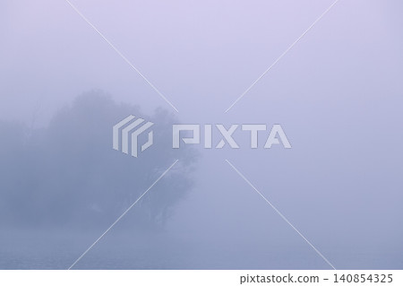 Misty morning landscape with silhouette of trees on the water's edge Misty morning landscape with silhouette of trees on the water's edge 140854325