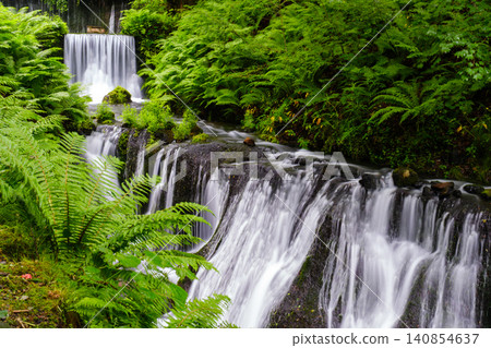 A peaceful scene of fresh greenery I found on my trip. 140854637