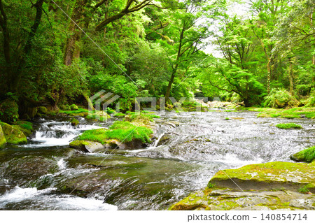 Summer, Kikuchi Valley Summer, Kikuchi Valley 140854714