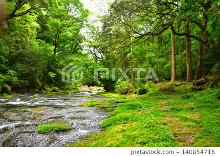 Summer, Kikuchi Valley Summer, Kikuchi Valley 140854718