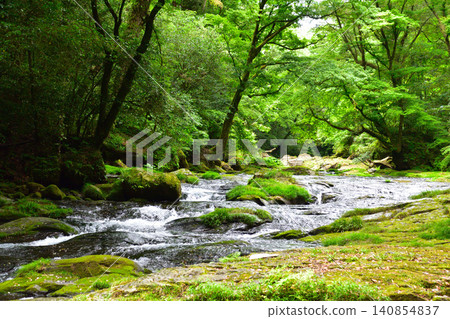 Summer, Kikuchi Valley Summer, Kikuchi Valley 140854837
