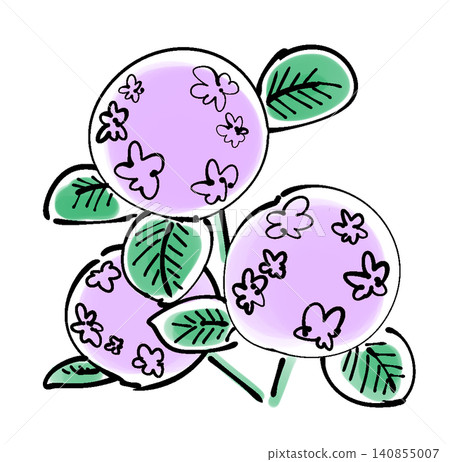 繡球 繡球 140855007