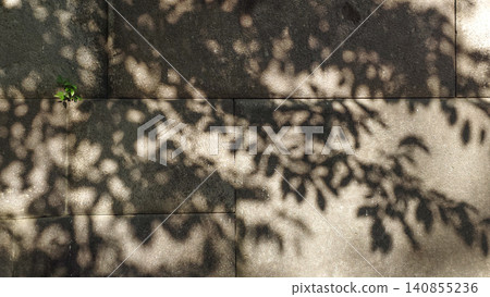 The vibrant shadows of the lush green trees are beautifully projected onto the stone wall. 140855236