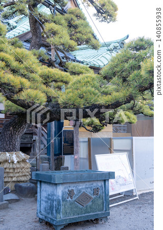 The pine tree at Shibamata Taishakuten Temple (Katsushika Ward, Tokyo) 140855938