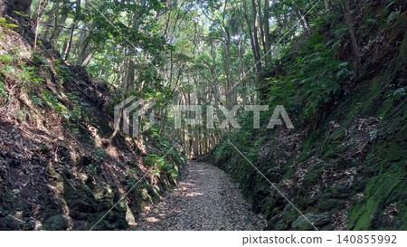 對馬島,金田城,步道起點附近的下坡健行道 對馬島,金田城,步道起點附近的下坡健行道 140855992