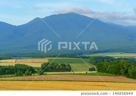 北海道富良野山和南富良野的田野:一幅壯麗的夏季鄉村風景畫。 北海道富良野山和南富良野的田野:一幅壯麗的夏季鄉村風景畫。 140856949