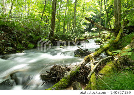 A clear stream flowing through a green forest 140857129
