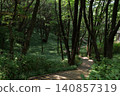 Beautiful forest path with blooming wild flowers in summer 140857319
