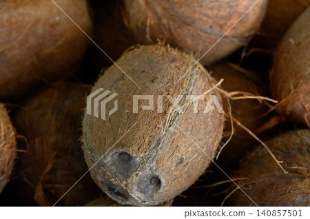 Harvesting natural treasures from tropical groves shows the rich textures and earthy tones of coconuts in a sunlit market 140857501