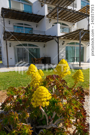 Vibrant yellow flowers bloom in front of a modern seaside resort, showcasing nature's beauty and tranquility during a sunny afternoon Vibrant yellow flowers bloom in front of a modern seaside resort, showcasing nature's beauty and tranquility during a sunny afternoon 140857953