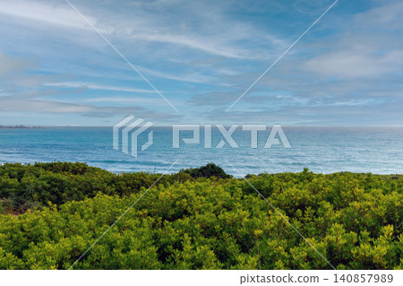 Blue ocean background with coastline covered by green bushes. 140857989