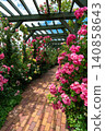 A garden with roses 140858643