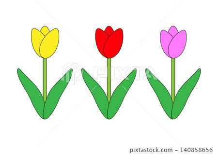 Tulips in full bloom with colorful flowers Tulips in full bloom with colorful flowers 140858656