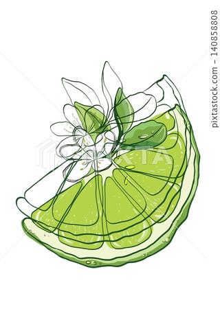 Decorative Lime Slice with Flower and Overlapping Line Art Decorative Lime Slice with Flower and Overlapping Line Art 140858808