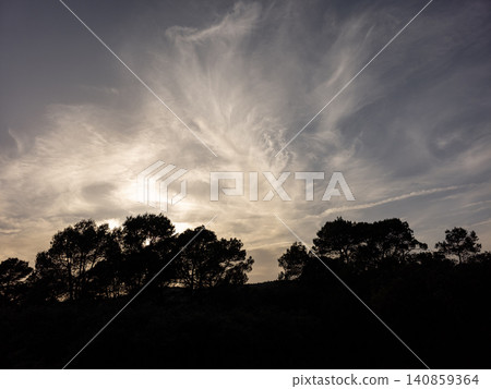 Pine trees create dark shapes as the sun sets. The sky shows orange and yellow hues mixed with white clouds. It is evening and the light is fading. Pine trees create dark shapes as the sun sets. The sky shows orange and yellow hues mixed with white clouds. It is evening and the light is fading. 140859364