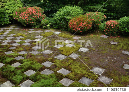 東福寺正殿庭園：北庭園盛開的杜鵑花（京都市東山區） 140859786
