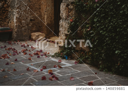 Trumpet Vine Petals Scattered on a Cobblestone Path 140859881