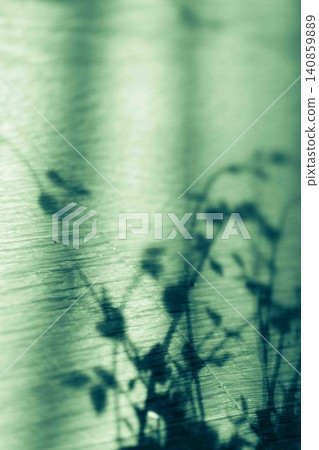 Shadows of plants cast on the flooring Shadows of plants cast on the flooring 140859889