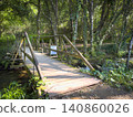 Wooden footbridge over the Uima river in a lush green forest at Passadicos do Rio Uima Santa Maria da Feira Portugal 140860026