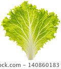 Bright green leafy plant with serrated edges isolated 140860183