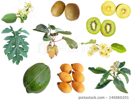 Cutout material set - Summer fruits and their flowers Cutout material set - Summer fruits and their flowers 140860201