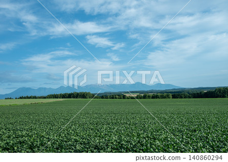 Summer green soybean fields and mountain ranges: Tokachi Mountain Range Summer green soybean fields and mountain ranges: Tokachi Mountain Range 140860294
