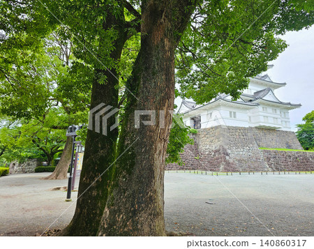 Odawara Castle Odawara Castle 140860317