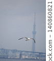 Sky Tree and Seagull 140860821